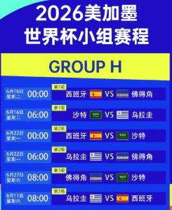 体彩网团队协作